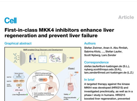 Heparegenix Publishes Data On First In Class Mkk4 Inhibitors 